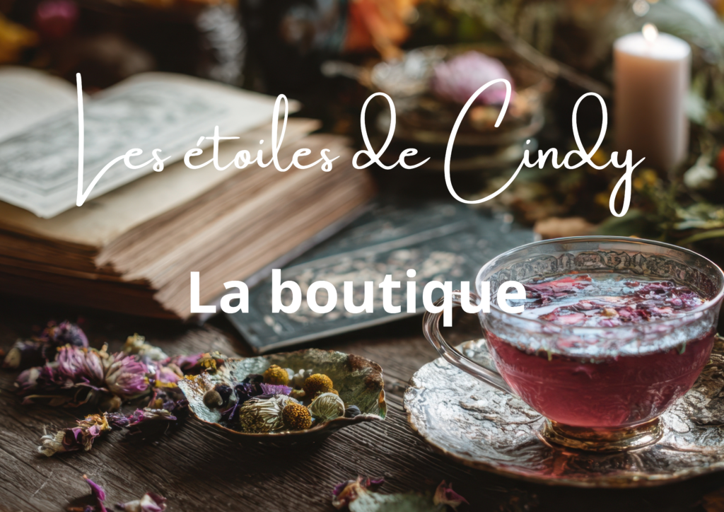 logo la boutique page acc site